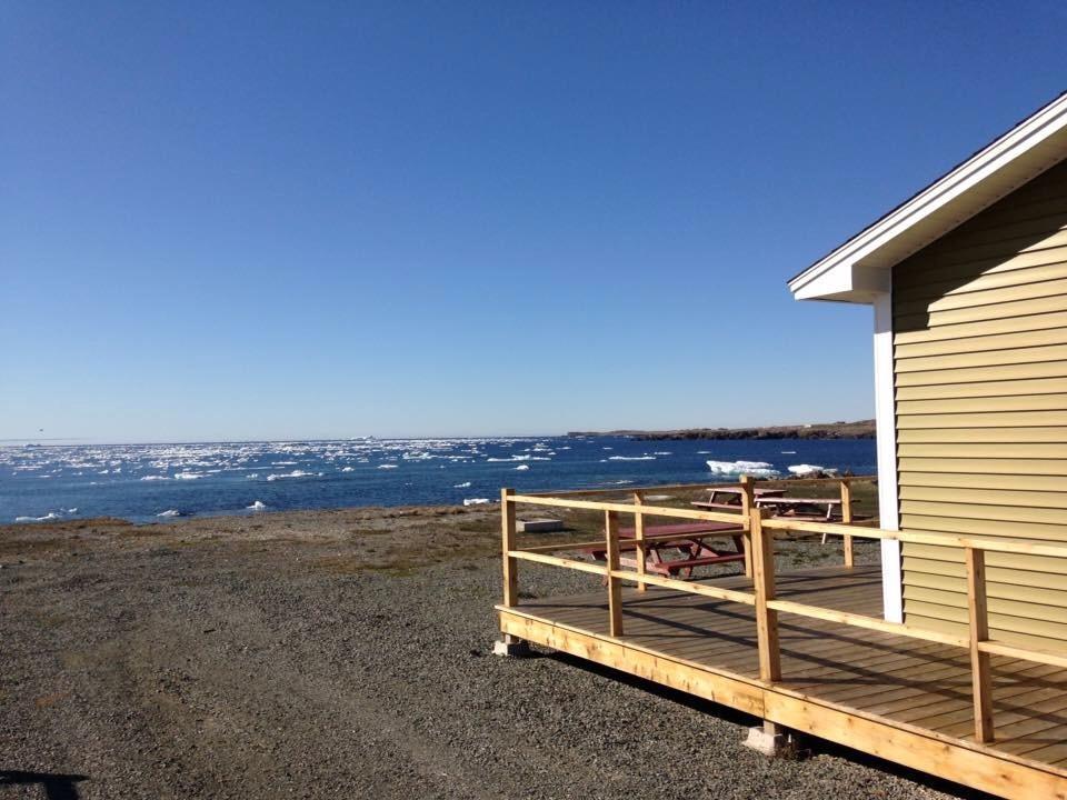 Oceanside Cabins Bonavista Zewnętrze zdjęcie